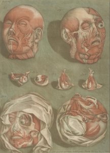 Plaat 11, Studies van Hoofden en Ogen door Arnauld Eloi Gautier DAgoty